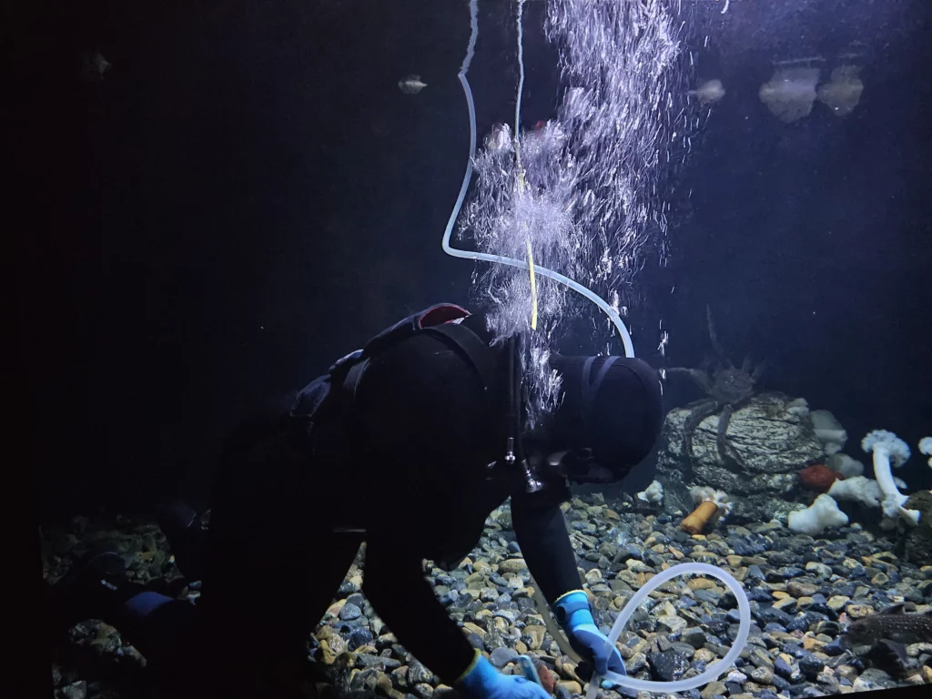 Conservation Works in Lisboa Oceanarium